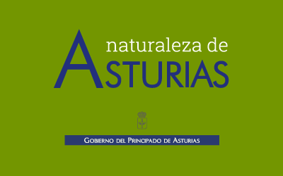 Logo Naturaleza de Asturias