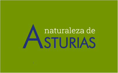 Naturaleza de Asturias, Gobierno del Principado de Asturias